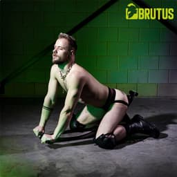 Brutus - Deep Rocker - Non-stop plezier - Onstuitbare kracht — thumbnail 5