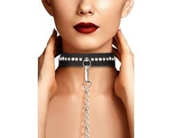 Diamond Studded Collar with Leash