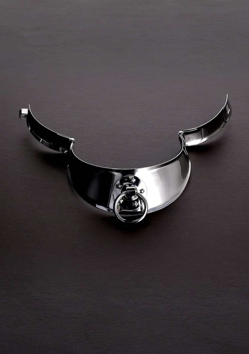Locking Men's Collar with Ring (15") — afbeelding 1