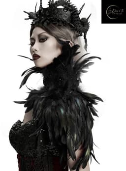 Zwarte Veren Stola Dames – Fetish Feather Cape – Lingerie Styling – Luxe Kinky Look – Statement Lingerie Accessoire – Erotisch Clubwear Styling – Boudoir, Kinky & Burlesque Events – Wasteland, B.I.T.C.H. – One Size – Dare to Undress — thumbnail 2