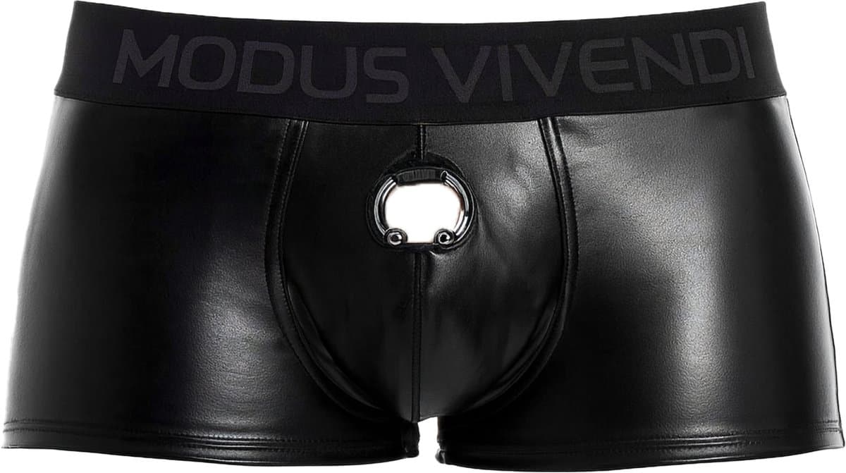 MODUS VIVENDI Prince Albert Bottomless Boxer - MAAT XL - Erotisch Heren Ondergoed - Boxershort voor Man - Sexy mannen Boxershort — afbeelding 1