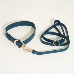 Luxurious Collar with Leash — thumbnail 2