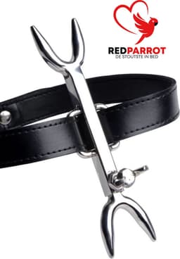 BDSM Halsband met scherpe pinnen - Extreme bondage — thumbnail 4