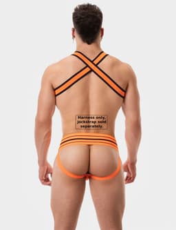 Barcode Berlin Harness Colin Orange - MAAT XS — thumbnail 4