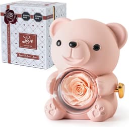 Romantische teddybeer met geconserveerde roos en hartvormige halsketting - Perfect cadeau voor Valentijnsdag, Moederdag en bruiloften — thumbnail 1