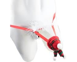 BamBella ® - string bongage - maat Onesize S M L - Sexy slip erotische onderbroek valentijnsdag kerst doorzichtig rollenspel rood kleding voor mannen