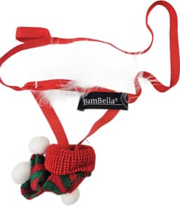 BamBella ® - string bongage - maat Onesize S M L - Sexy slip erotische onderbroek valentijnsdag kerst doorzichtig rollenspel rood kleding voor mannen — thumbnail 2