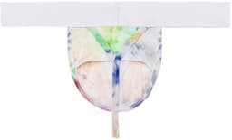 WOH heren microfiber G-string sexy fun multi — thumbnail 4