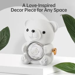Romantische teddybeer met geconserveerde roos en hartvormige halsketting - Perfect cadeau voor Valentijnsdag, Moederdag en bruiloften — thumbnail 4