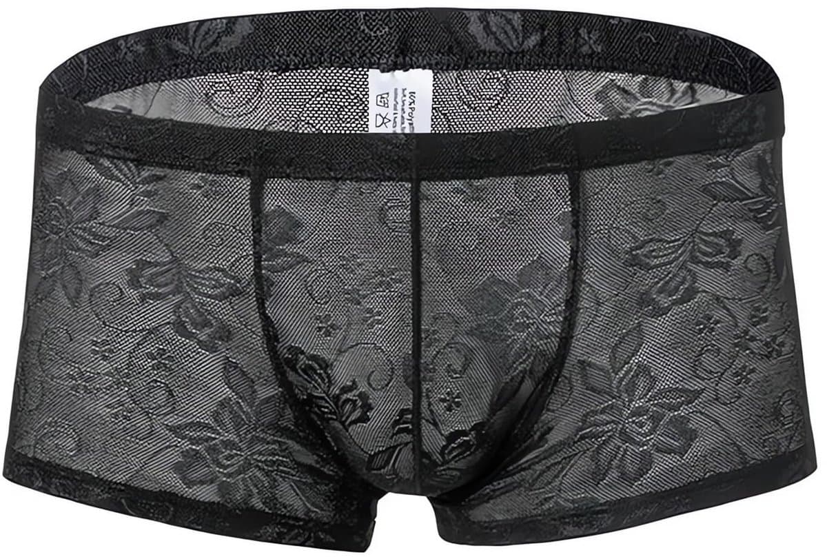Dailygoods- Boxershorts Transparant Kant - Heren Ondergoed - Sexy Broekje - Lage Taille - Modieus Casual - Geschikt voor Alle Seizoenen — afbeelding 1