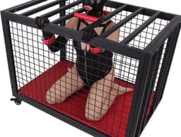 De blaffende sub bdsm kooi - bondagekooi - bdsm - onderdanig - roleplay - kinky — thumbnail 3