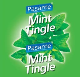 Pasante Mint Flavour Condooms 144 stuks — thumbnail 1