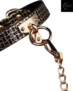 Kinky Gouden Bondage Halsband met Ketting – Fetish choker voor rollenspel & dominatrix – O-Ringchoker, Zwarte PU-leren Ketting, Gotisch Accessoire – Perfect voor Wasteland – Erotische Lingerie – B.I.T.C.H. & kinky events | Dare to Undress — thumbnail 2