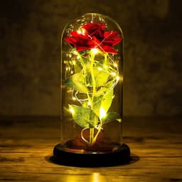 Zolta - Acrylglas Led Roos - Roze - 21cm - Geschenkverpakking — thumbnail 4
