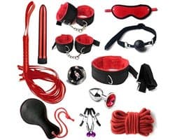 Equivera Sex Box voor Koppels - Sex Speeltjes - Sex Box - Sex Boxen - Box voor Koppels