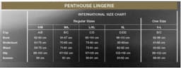 PENTHOUSE SET | Penthouse Work It Out 2 Pieces Set S/m/l — thumbnail 5