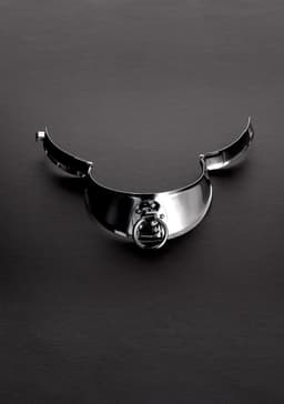 Locking Men's Collar with Ring (13.5") — thumbnail 3