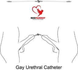Dubbele penis plug | Dilator | Gay | Sperma stopper | Holle penis plug | Plasbuis Staaf | Homo | Transparant — thumbnail 1