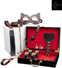 Dare to Undress – Fifty Shades of Grey – Luxe 8-delige BDSM Set met Opbergkoffer – Premium – BDSM Bondagesets - Valentijn Cadeau - Handboeien, Halsband, Masker, Gagbal & Zweep - Sex Toys voor Koppels - Seksspeeltjes voor mannen en vrouwen - Kinky — thumbnail 2
