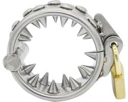 Scrotum Knevel met Spikes - incl Slot - Bakzak - Scrotum - BDSM - Vertraagd klaarkomen - Vertraging - Penis - Extreme sex