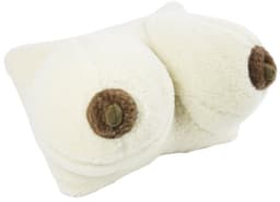 Kussen Borsten Cadeau Grappig Kussen 100% Merino Wol Fun artikel Vrijgezellenfeest Verjaardag – 42x22cm — thumbnail 5