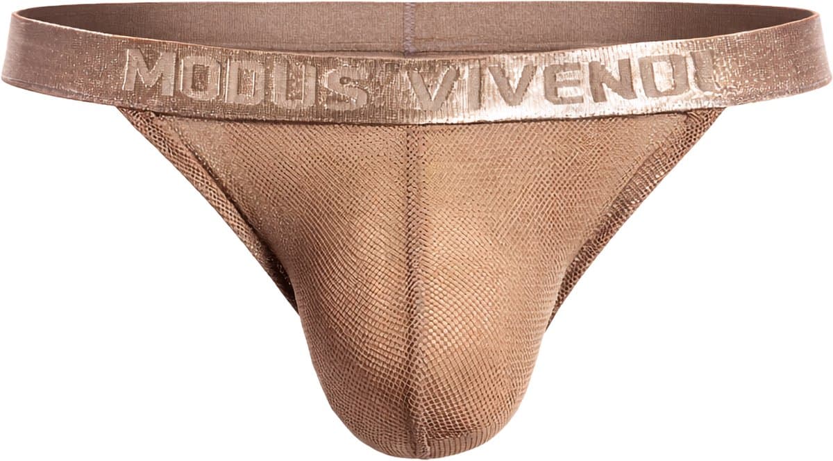 MODUS VIVENDI Mesh Through Tanga Brief Skin - MAAT L - Erotisch Heren Ondergoed - Slip voor Man - Sexy mannen Slip — afbeelding 1
