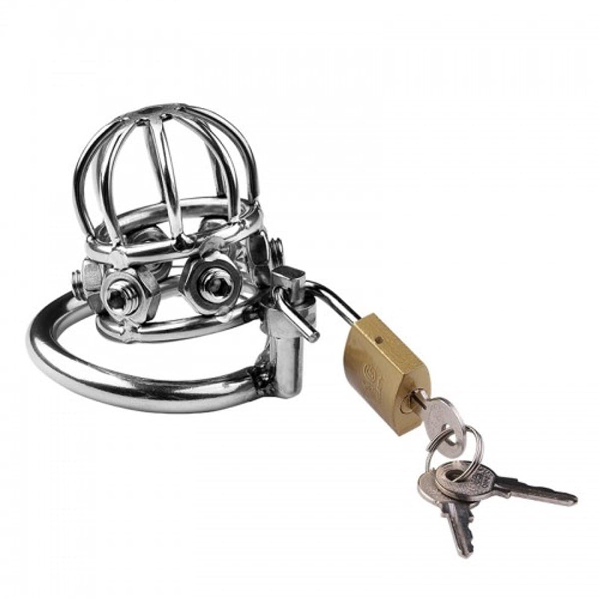 Nooitmeersaai - Peniskooi met hangslot en pinnetjes - Metaal - Zilverkleurig - 45 mm — afbeelding 1