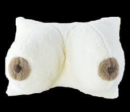 Kussen Borsten Cadeau Grappig Kussen 100% Merino Wol Fun artikel Vrijgezellenfeest Verjaardag – 42x22cm — thumbnail 2