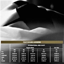 PENTHOUSE BODYSTOCKINGS | Penthouse Magical Mistress Bodystocking Xl — thumbnail 5