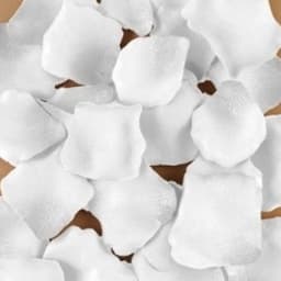DIVERTY SEX - 100 Petals White — thumbnail 1