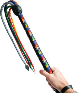 Black Label - Veelkleurige Gevlochten Lederen Flogger — thumbnail 4