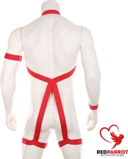 Erotische Halter Harnas | Rode Lingerie voor Heren | BDSM | Full body | Armen en benen | Club wear | Mannen | Voor hem — thumbnail 2