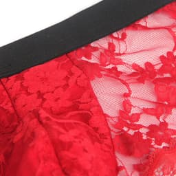 Zeloria Heren Kant Boxer – Transparante Erotische Lace Boxershort – Rood – M – Stretch & Comfort — thumbnail 2