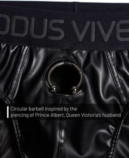 MODUS VIVENDI Prince Albert Classic Brief - MAAT L - Erotisch Heren Ondergoed - Slip voor Man - Sexy mannen Slip — thumbnail 3