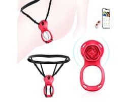 Artix Essentials Rose Vibrator – Voor Vrouwen & Koppels – App Bediening – 10 Standen – Waterdicht – Handsfree