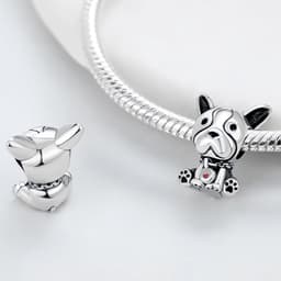 925 Sterling zilveren bedeltje past op Pandora Armbanden Ketting, Hangers DIY Sieraden Gift Voor Vrouwen (met een Spacer Bead Charms) — thumbnail 5