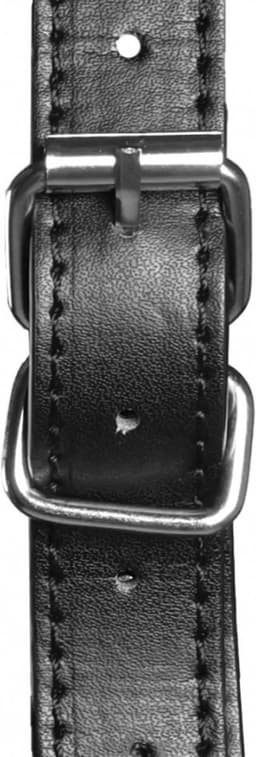 Blindfolded Head Harness met Solid Ball Gag - Zwart — thumbnail 4