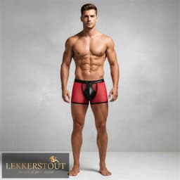 2-Pack BDSM Boxershorts Laklook en Mesh met Drukknoopsluiting - Sexy Herenondergoed - Maat XL | LS266 — thumbnail 3