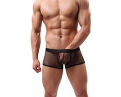Zwarte boxer