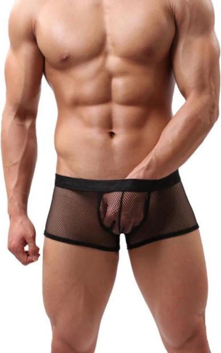 Zwarte boxer — afbeelding 1