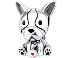 925 Sterling zilveren bedeltje past op Pandora Armbanden Ketting, Hangers DIY Sieraden Gift Voor Vrouwen (met een Spacer Bead Charms)
