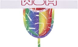 WOH heren microfiber G-string rainbow multi — thumbnail 1