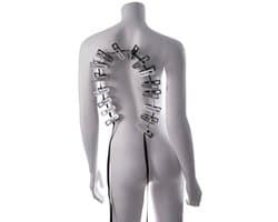 Sportsheets - Edge Body Zipper Clothes Pins - Zilver
