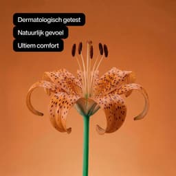 Smooth Condooms - 48 Stuks - Premium Kwaliteit - Discrete Verzending - Climax Change — thumbnail 2