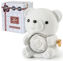Romantische teddybeer met geconserveerde roos en hartvormige halsketting - Perfect cadeau voor Valentijnsdag, Moederdag en bruiloften — thumbnail 1