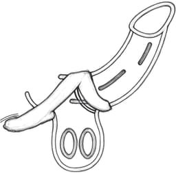 VIVIDIA Silicone Cockring – Penis Ring – Erectie Versterker – Hardere & Langdurige Erecties met Ultra Comfort - Perineum stimulatie – Sex Toy voor Mannen – Zwart — thumbnail 4