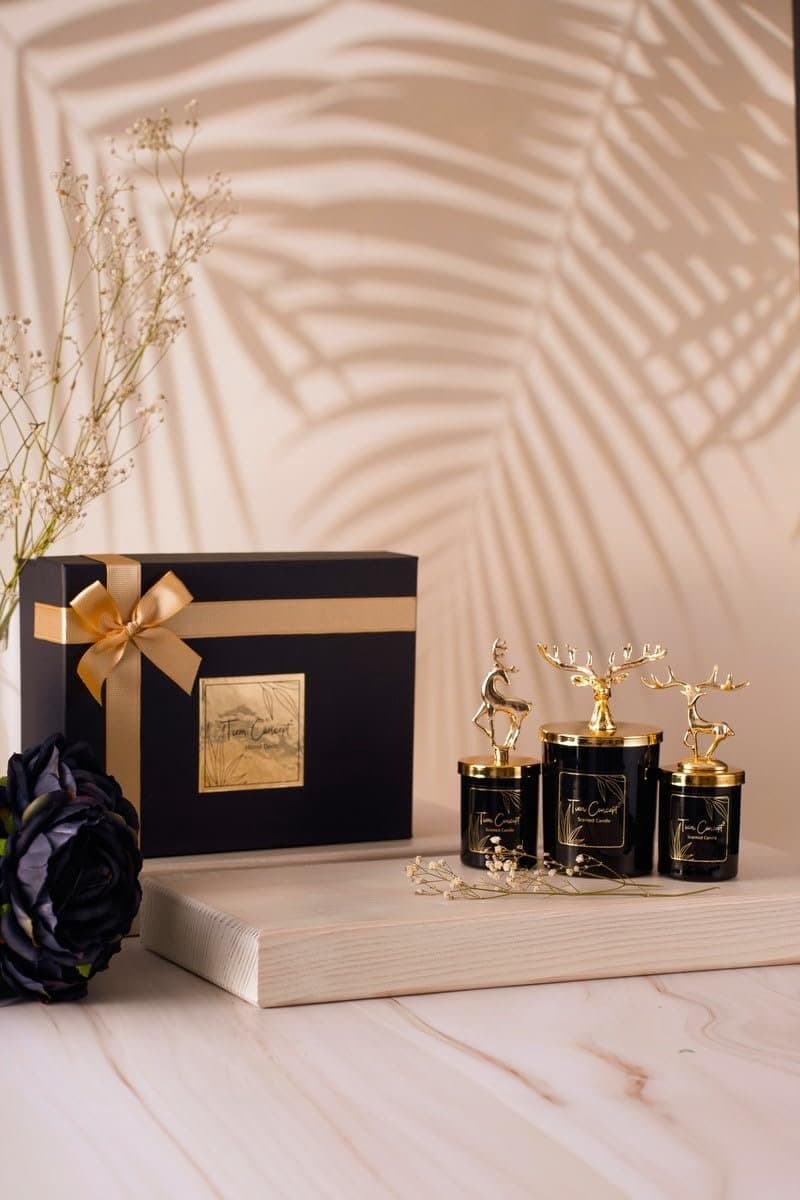 Geurkaarsen Gift Set voor Vrouwen - 3-delige Vanille Geurkaarsen in Elegante Verpakking — afbeelding 1