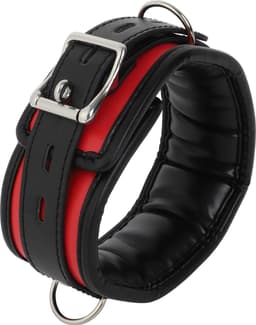 Banoch - Collar & leash Silver - Halsband en Riem - Zwart / Rood met zilver — thumbnail 2