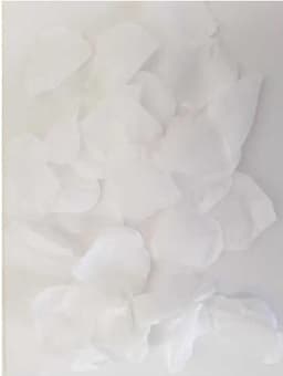 DIVERTY SEX - 100 Petals White — thumbnail 4
