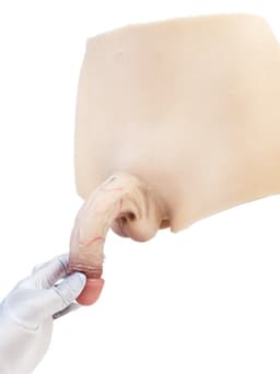 BNDGx® - Realistische Nep kunst penis broek pak - grote dildo sex onderbroek -siliconen pak bodysuit — thumbnail 4